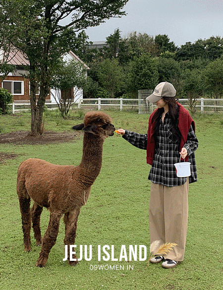 ½ºÅäºê ·çÁîÇÍ ±â¸ð üũ ¼ÅÃ÷ 84233