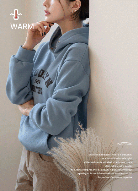 ºê·çÅ© ±â¸ð ÈÄµå Æ¼¼ÅÃ÷