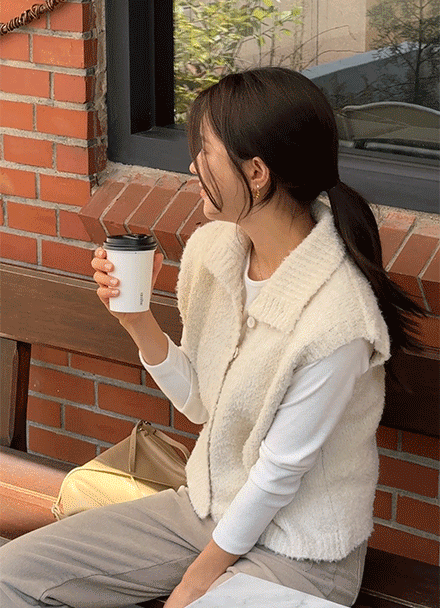 ¸®Ã÷ Ä«¶ó ¿ïº¸Äà Á¶³¢