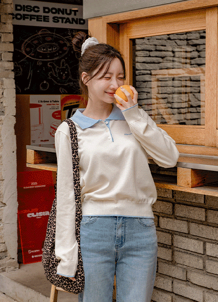 º£ÀÌÁ÷ ¹è»ö Ä«¶ó ÀÚ¼ö ´ÏÆ®