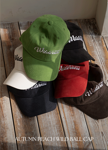 ¾îÅÒ ÇÇÄ¡ ¿ÍÀÏµå º¼Ä¸