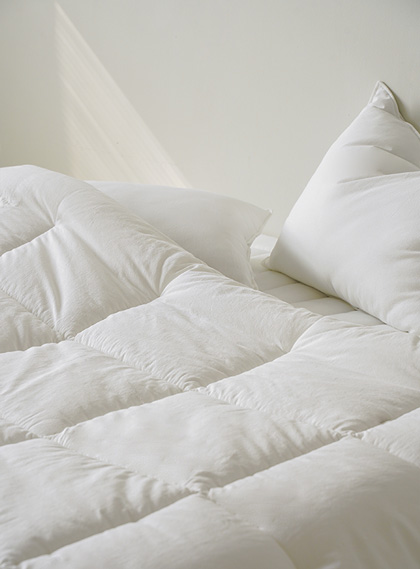 ��ǰ ������