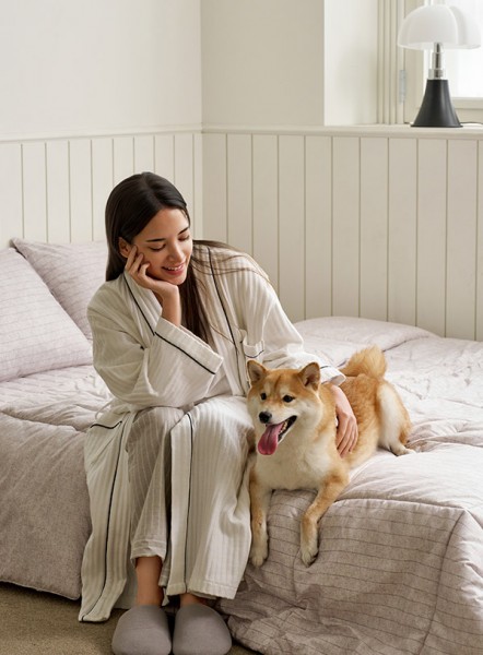 ��ǰ ������