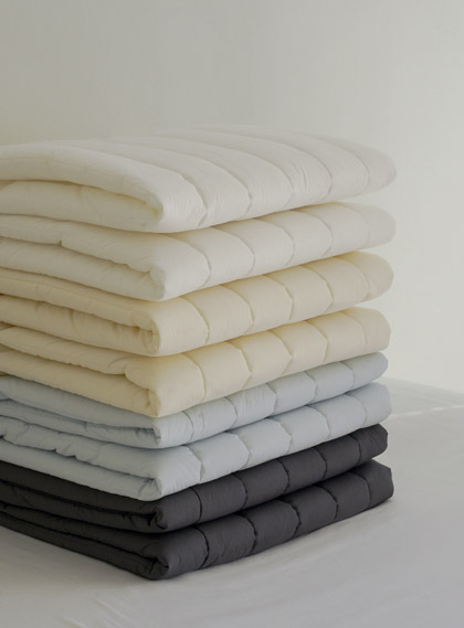 ��ǰ ������