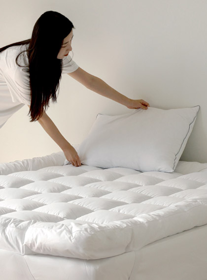 ��ǰ ������