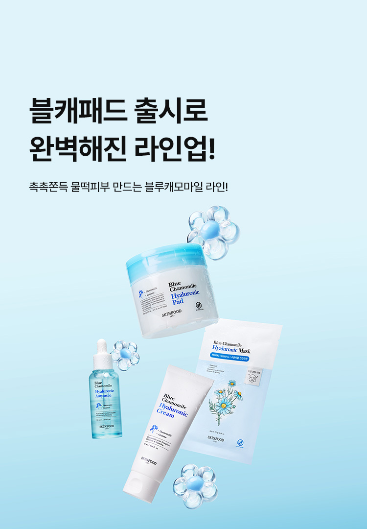블루 캐모마일 기획전